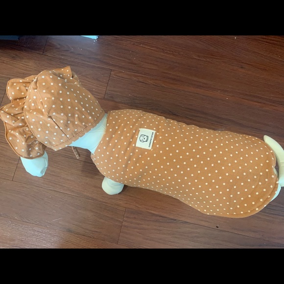 Dog clothes - Picture 2 of 3